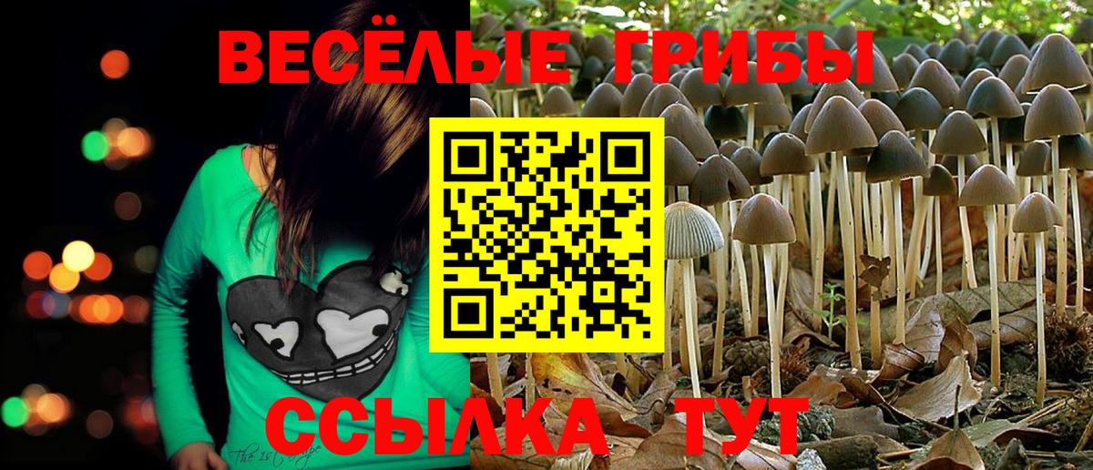 Галлюциногенные грибы мицелий Новочебоксарск